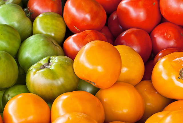 Nou informe “Ja volem el pa sencer. Respostes a la pobresa alimentària en clau de Sobirania Alimentària”